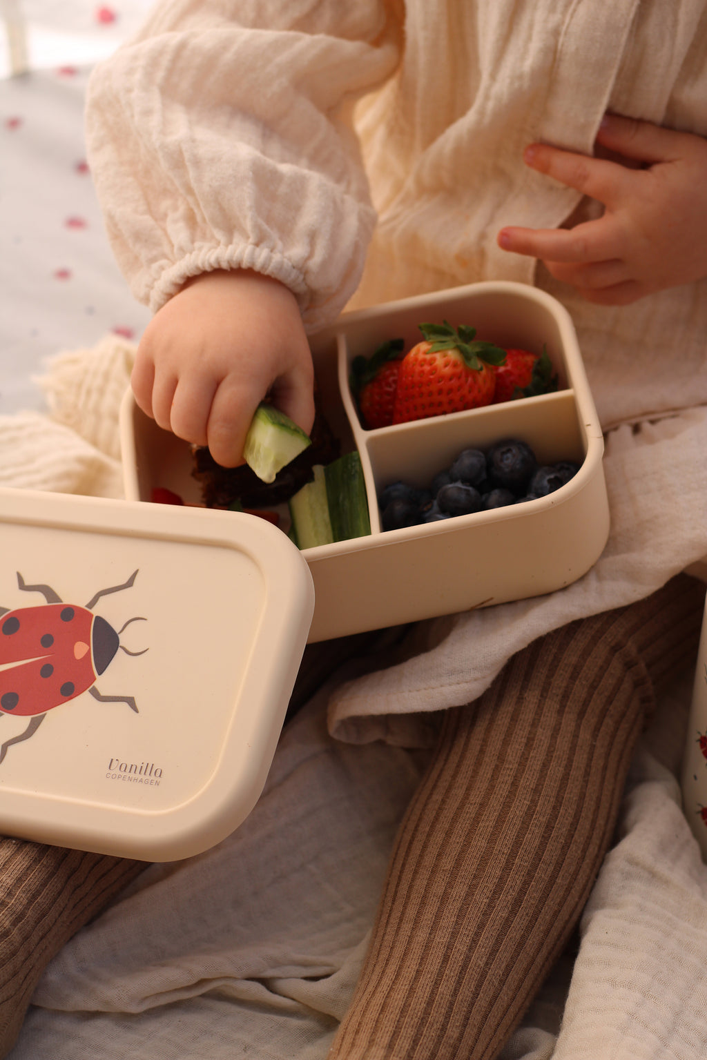 Lunch Box Ladybug