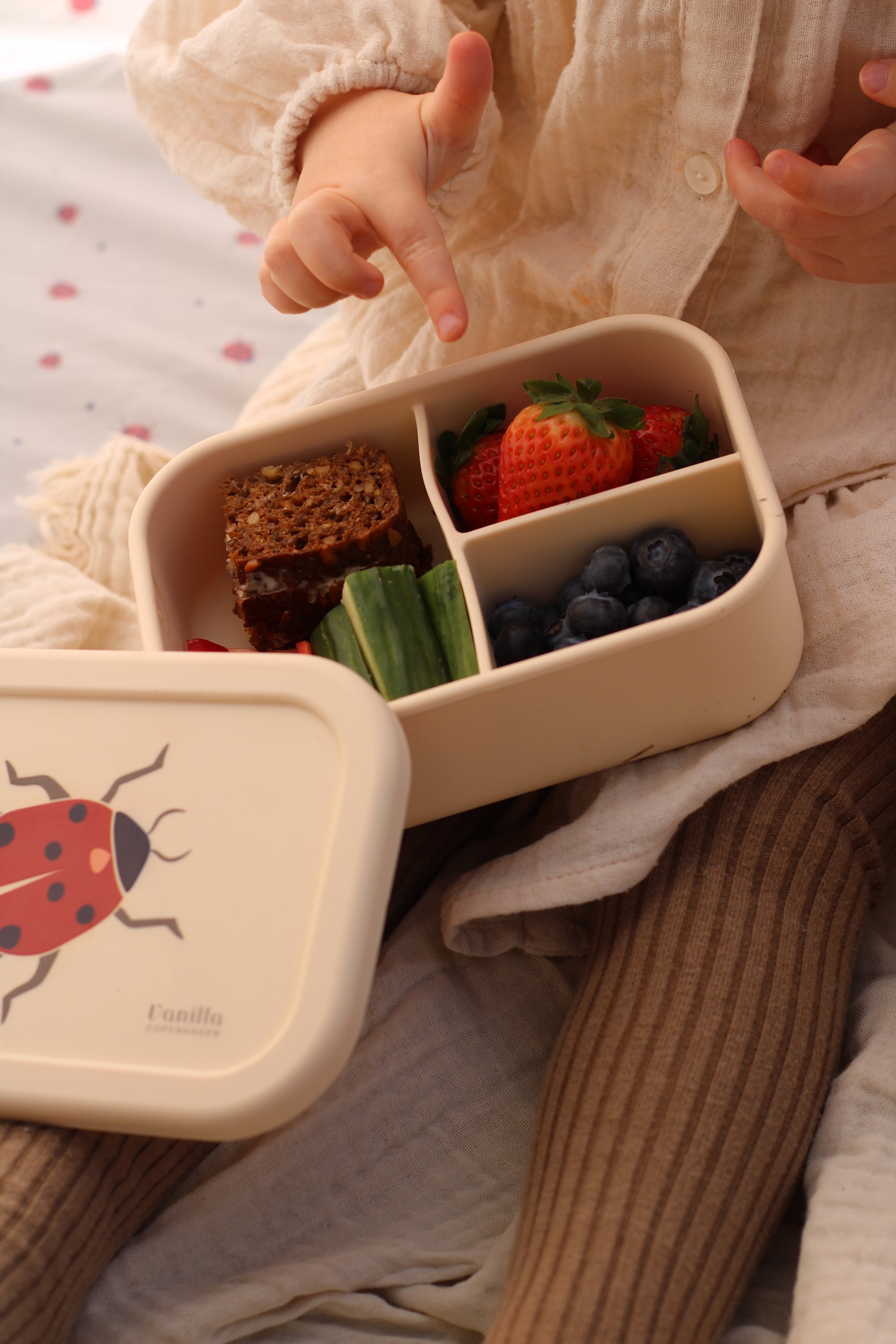 Lunch Box Ladybug