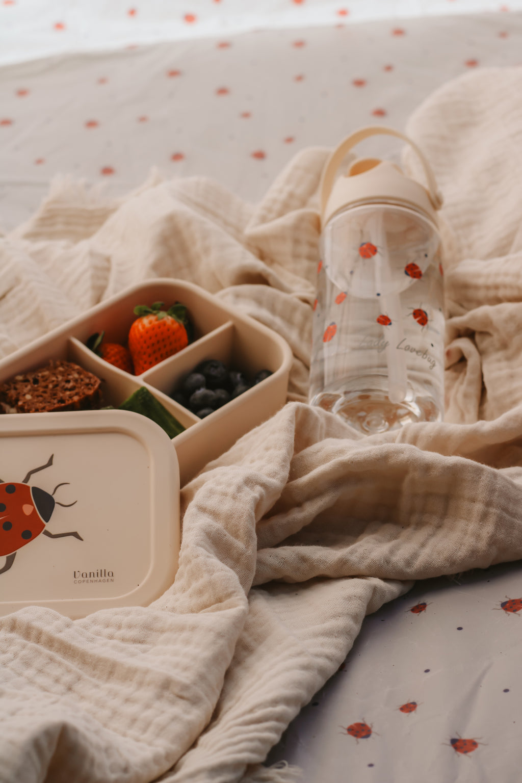 Lunch Box Ladybug