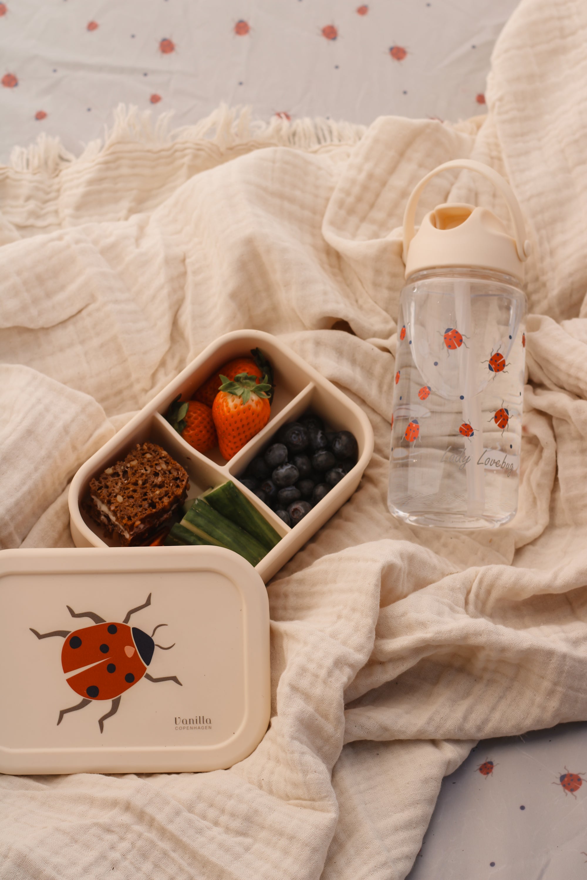 Lunch Box Ladybug